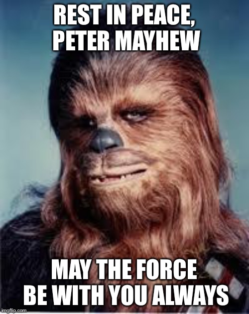 Rest In Peace Peter Mayhew | REST IN PEACE, PETER MAYHEW; MAY THE FORCE BE WITH YOU ALWAYS | image tagged in chewbacca,star wars | made w/ Imgflip meme maker