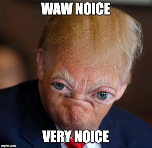 Waw noice very noice | WAW NOICE VERY NOICE | image tagged in waw noice very noice | made w/ Imgflip meme maker