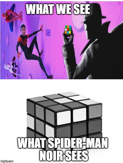 Rubik Cube, Noir Style | WHAT WE SEE; WHAT SPIDER-MAN NOIR SEES | image tagged in spiderman,rubik cube,memes,funny,lol so funny | made w/ Imgflip meme maker