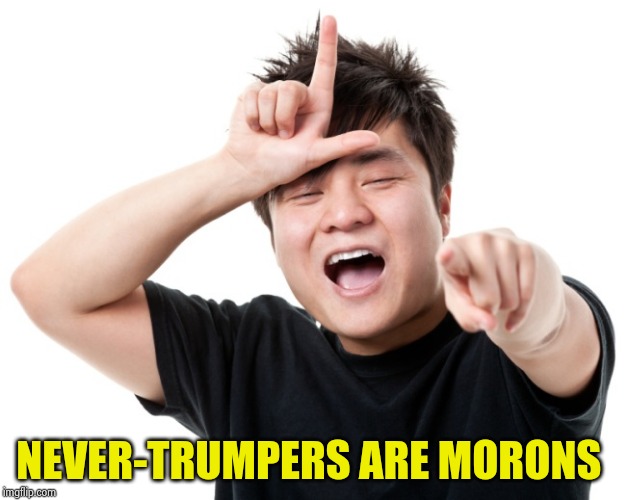 You're a loser | NEVER-TRUMPERS ARE MORONS | image tagged in you're a loser | made w/ Imgflip meme maker