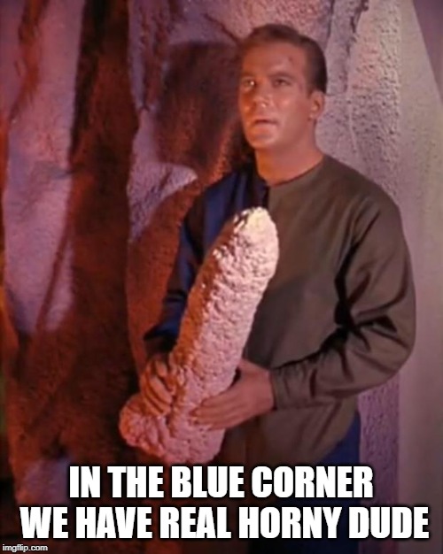 Kirk dildo | IN THE BLUE CORNER WE HAVE REAL HORNY DUDE | image tagged in kirk dildo | made w/ Imgflip meme maker
