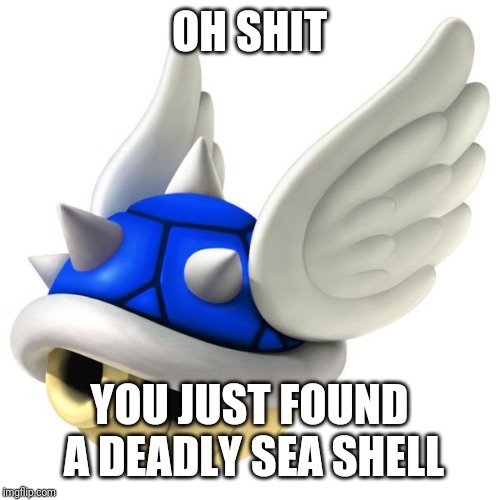 Blue Shell | OH SHIT YOU JUST FOUND A DEADLY SEA SHELL | image tagged in blue shell | made w/ Imgflip meme maker