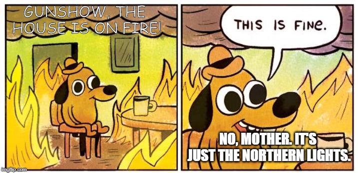 This Is Fine Meme | GUNSHOW, THE HOUSE IS ON FIRE! NO, MOTHER. IT'S JUST THE NORTHERN LIGHTS. | image tagged in this is fine dog | made w/ Imgflip meme maker