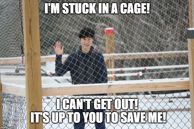 Caged Kweon | I'M STUCK IN A CAGE! I CAN'T GET OUT! IT'S UP TO YOU TO SAVE ME! | image tagged in caged kweon | made w/ Imgflip meme maker