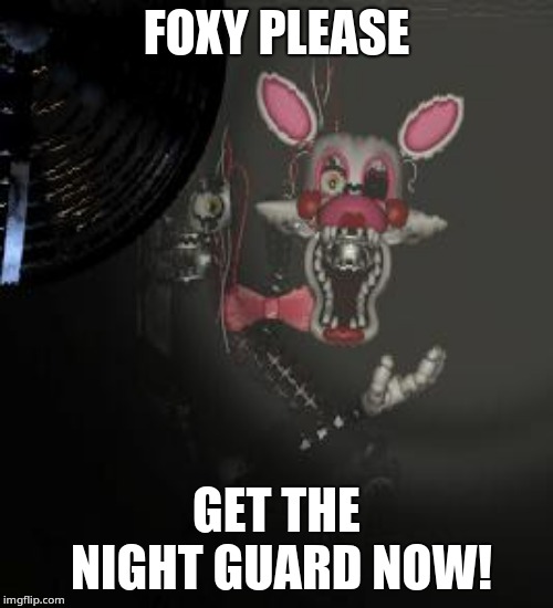 Mangle |  FOXY PLEASE; GET THE NIGHT GUARD NOW! | image tagged in mangle | made w/ Imgflip meme maker