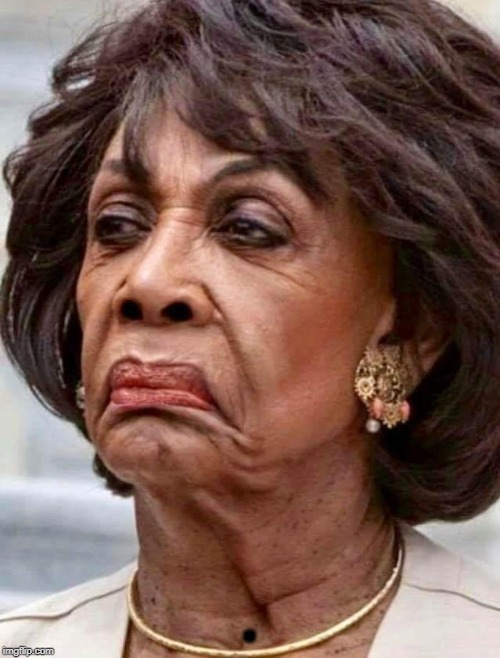 Maxine Waters | . | image tagged in maxine waters | made w/ Imgflip meme maker