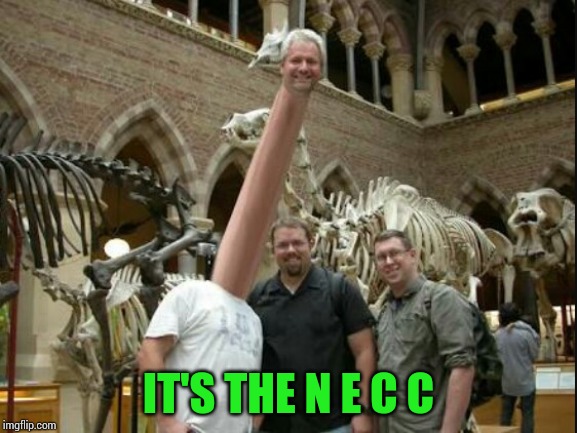 Oh boy.....what have I done... | IT'S THE N E C C | image tagged in long neck,oh god why | made w/ Imgflip meme maker