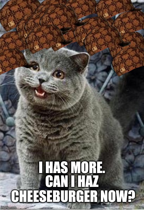 I can has cheezburger cat | I HAS MORE. CAN I HAZ CHEESEBURGER NOW? | image tagged in i can has cheezburger cat | made w/ Imgflip meme maker