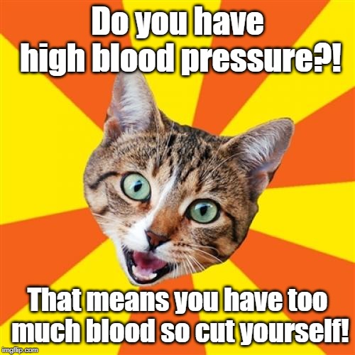 Bad Advice Cat | Do you have high blood pressure?! That means you have too much blood so cut yourself! | image tagged in memes,bad advice cat,medicine,blood,disease,the cure | made w/ Imgflip meme maker
