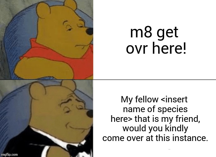It's random, right? | m8 get ovr here! My fellow <insert name of species here> that is my friend, would you kindly come over at this instance. | image tagged in memes,tuxedo winnie the pooh,random | made w/ Imgflip meme maker