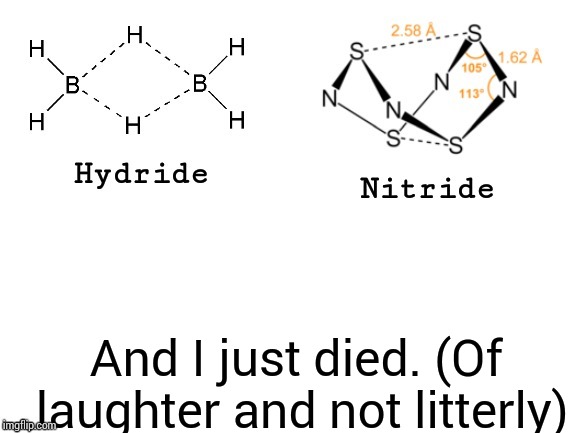 Hydride, Nitride, | And I just died.
(Of laughter and not litterly) | image tagged in hydride nitride | made w/ Imgflip meme maker