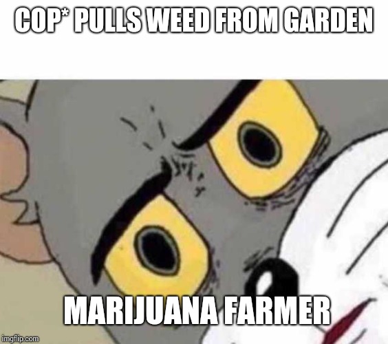 Tom Cat Unsettled Close up | COP* PULLS WEED FROM GARDEN; MARIJUANA FARMER | image tagged in tom cat unsettled close up | made w/ Imgflip meme maker