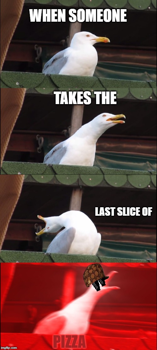 Inhaling Seagull Meme | WHEN SOMEONE; TAKES THE; LAST SLICE OF; PIZZA | image tagged in memes,inhaling seagull | made w/ Imgflip meme maker