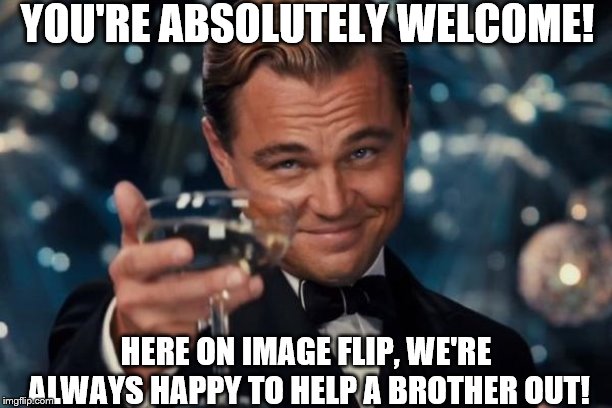DiCaprio's Champagne 5 | YOU'RE ABSOLUTELY WELCOME! HERE ON IMAGE FLIP, WE'RE ALWAYS HAPPY TO HELP A BROTHER OUT! | image tagged in memes,leonardo dicaprio cheers,glass,wine,drink,celebrate | made w/ Imgflip meme maker