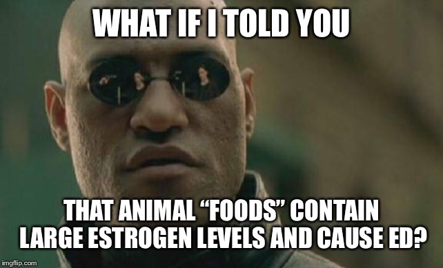 Matrix Morpheus Meme | WHAT IF I TOLD YOU THAT ANIMAL “FOODS” CONTAIN LARGE ESTROGEN LEVELS AND CAUSE ED? | image tagged in memes,matrix morpheus | made w/ Imgflip meme maker