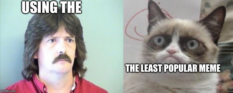 Grumpy Cat's Father | USING THE; THE LEAST POPULAR MEME | image tagged in memes,grumpy cats father,grumpy cat | made w/ Imgflip meme maker