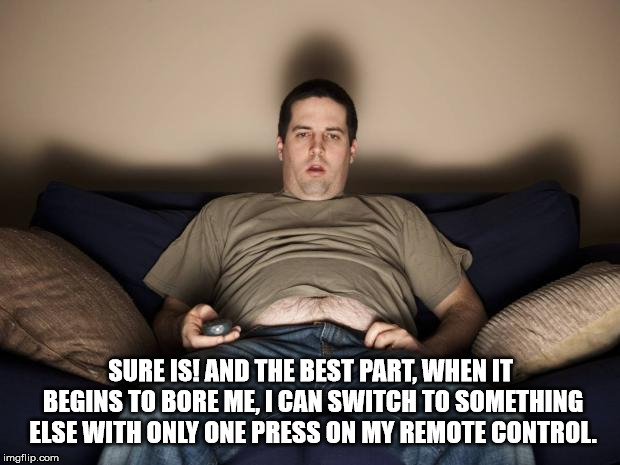 lazy fat guy on the couch | SURE IS! AND THE BEST PART, WHEN IT BEGINS TO BORE ME, I CAN SWITCH TO SOMETHING ELSE WITH ONLY ONE PRESS ON MY REMOTE CONTROL. | image tagged in lazy fat guy on the couch | made w/ Imgflip meme maker
