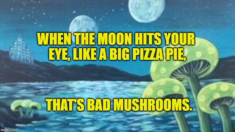 Bad Mushrooms | WHEN THE MOON HITS YOUR EYE, LIKE A BIG PIZZA PIE, THAT'S BAD MUSHROOMS. | image tagged in humor | made w/ Imgflip meme maker