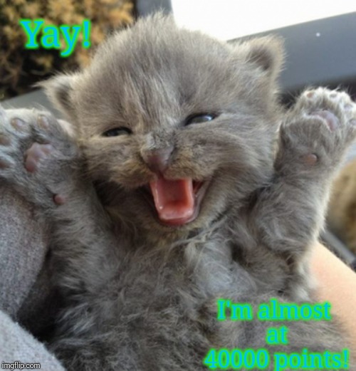 Excited kitten | Yay! I'm almost at 40000 points! | image tagged in excited kitten | made w/ Imgflip meme maker