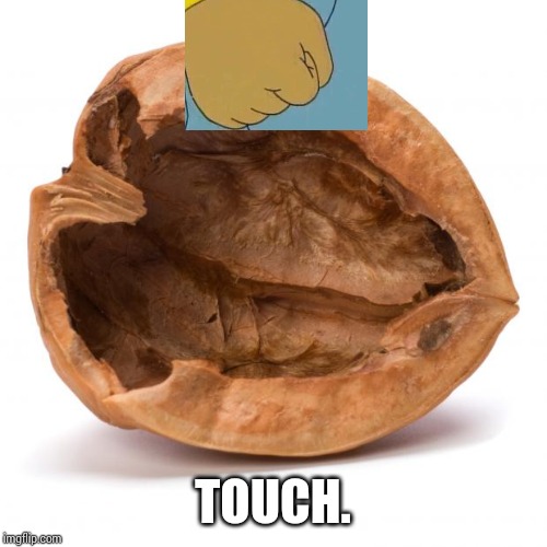 Nutshell | TOUCH. | image tagged in nutshell | made w/ Imgflip meme maker