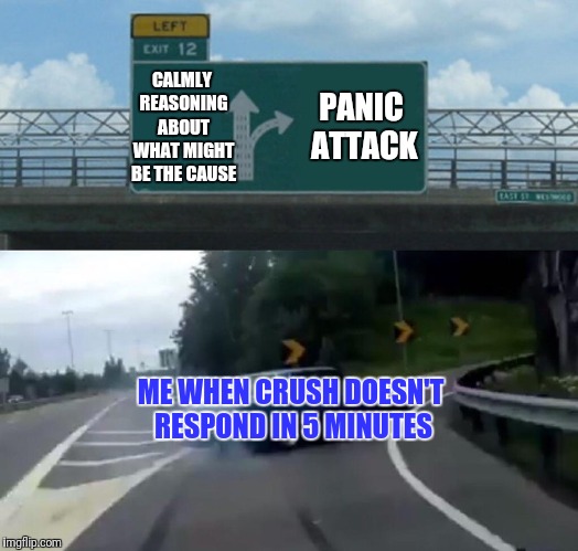 Left Exit 12 Off Ramp | CALMLY REASONING ABOUT WHAT MIGHT BE THE CAUSE; PANIC ATTACK; ME WHEN CRUSH DOESN'T RESPOND IN 5 MINUTES | image tagged in memes,left exit 12 off ramp | made w/ Imgflip meme maker
