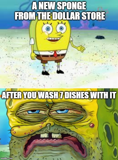 Not tomorrow's sponge - Spongebob Week! April 29th to May 5th an EGOS production. | A NEW SPONGE FROM THE DOLLAR STORE; AFTER YOU WASH 7 DISHES WITH IT | image tagged in normal spongebob,tired spongebob,spongebob week,egos | made w/ Imgflip meme maker