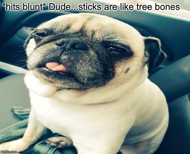 High doggy’s | *hits blunt* Dude...sticks are like tree bones | image tagged in doge,cute,puppy,weed,420,bork | made w/ Imgflip meme maker