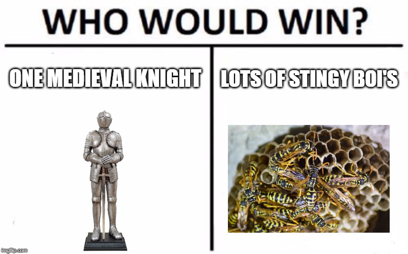 Hmmm | ONE MEDIEVAL KNIGHT; LOTS OF STINGY BOI'S | image tagged in memes,who would win,wasp,medieval knight | made w/ Imgflip meme maker