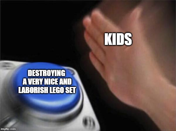 Blank Nut Button Meme | KIDS; DESTROYING A VERY NICE AND LABORISH LEGO SET | image tagged in memes,blank nut button | made w/ Imgflip meme maker