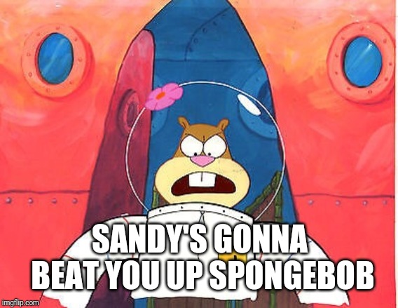 Sandy Cheeks | SANDY'S GONNA BEAT YOU UP SPONGEBOB | image tagged in sandy cheeks | made w/ Imgflip meme maker