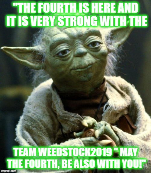 Star Wars Yoda | "THE FOURTH IS HERE AND IT IS VERY STRONG WITH THE; TEAM WEEDSTOCK2019 " MAY THE FOURTH, BE ALSO WITH YOU!" | image tagged in memes,star wars yoda | made w/ Imgflip meme maker