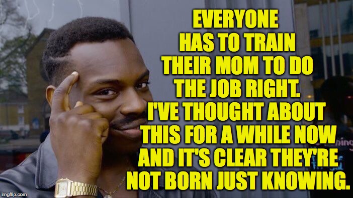 Roll Safe Think About It Meme | EVERYONE HAS TO TRAIN THEIR MOM TO DO THE JOB RIGHT. I'VE THOUGHT ABOUT THIS FOR A WHILE NOW AND IT'S CLEAR THEY'RE NOT BORN JUST KNOWING. | image tagged in memes,roll safe think about it | made w/ Imgflip meme maker