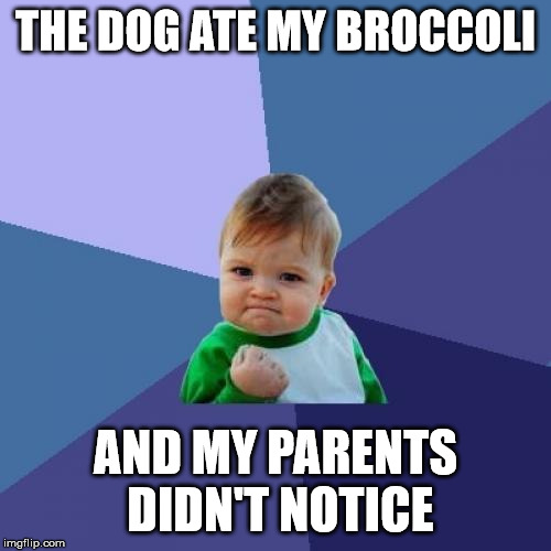 Success Kid Meme | THE DOG ATE MY BROCCOLI; AND MY PARENTS DIDN'T NOTICE | image tagged in memes,success kid | made w/ Imgflip meme maker