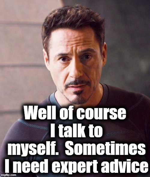 Well of course I talk to myself.  Sometimes I need expert advice | made w/ Imgflip meme maker