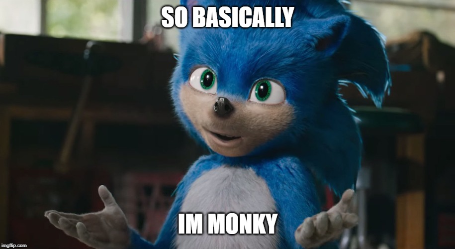 sonic live action | SO BASICALLY; IM MONKY | image tagged in sonic live action | made w/ Imgflip meme maker