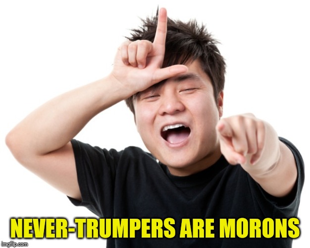 You're a loser | NEVER-TRUMPERS ARE MORONS | image tagged in you're a loser | made w/ Imgflip meme maker