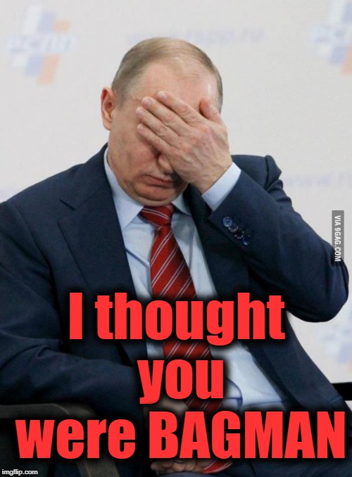 Putin Facepalm | I thought you were BAGMAN | image tagged in putin facepalm | made w/ Imgflip meme maker