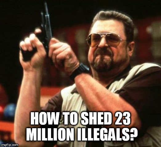 gun | HOW TO SHED 23 MILLION ILLEGALS? | image tagged in gun | made w/ Imgflip meme maker
