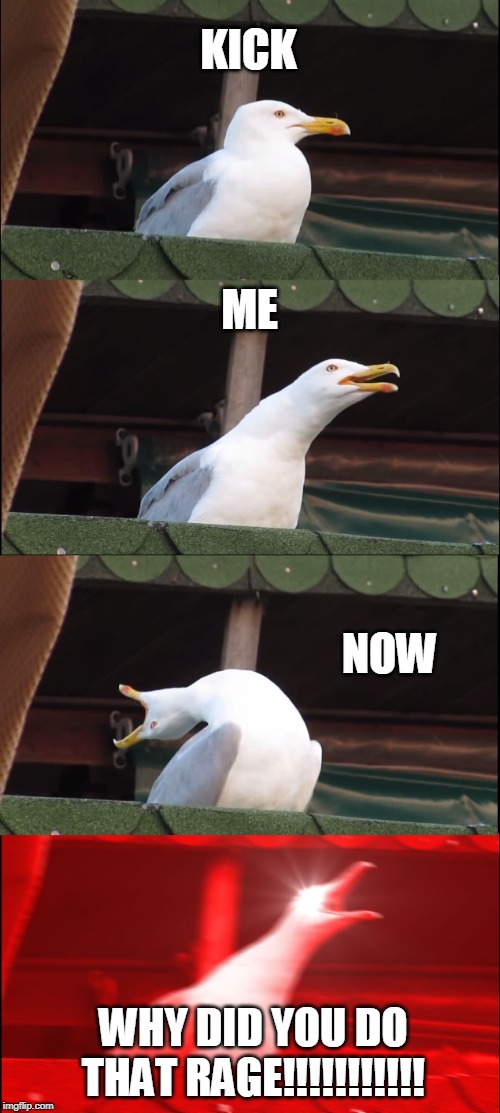 Inhaling Seagull Meme | KICK; ME; NOW; WHY DID YOU DO THAT RAGE!!!!!!!!!!! | image tagged in memes,inhaling seagull | made w/ Imgflip meme maker