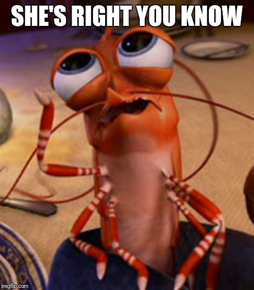 shrimp | SHE'S RIGHT YOU KNOW | image tagged in shrimp | made w/ Imgflip meme maker
