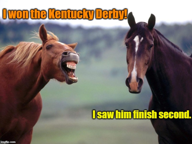 BY THAT LOGIC, LET'S MAKE AL UNSER FORFEIT HIS INDY 500 WINS BECAUSE I KNOW HE CUT SOMEONE OFF | I won the Kentucky Derby! I saw him finish second. | image tagged in screaming angry horse,kentucky derby,when winnng isn't winning,memes | made w/ Imgflip meme maker