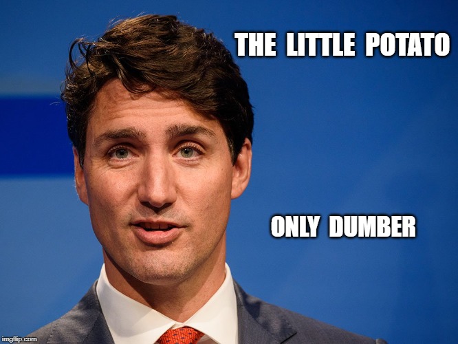 THE  LITTLE  POTATO; ONLY  DUMBER | image tagged in justin trudeau,funny,politics,little potato,fun | made w/ Imgflip meme maker