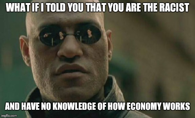 Matrix Morpheus Meme | WHAT IF I TOLD YOU THAT YOU ARE THE RACIST AND HAVE NO KNOWLEDGE OF HOW ECONOMY WORKS | image tagged in memes,matrix morpheus | made w/ Imgflip meme maker