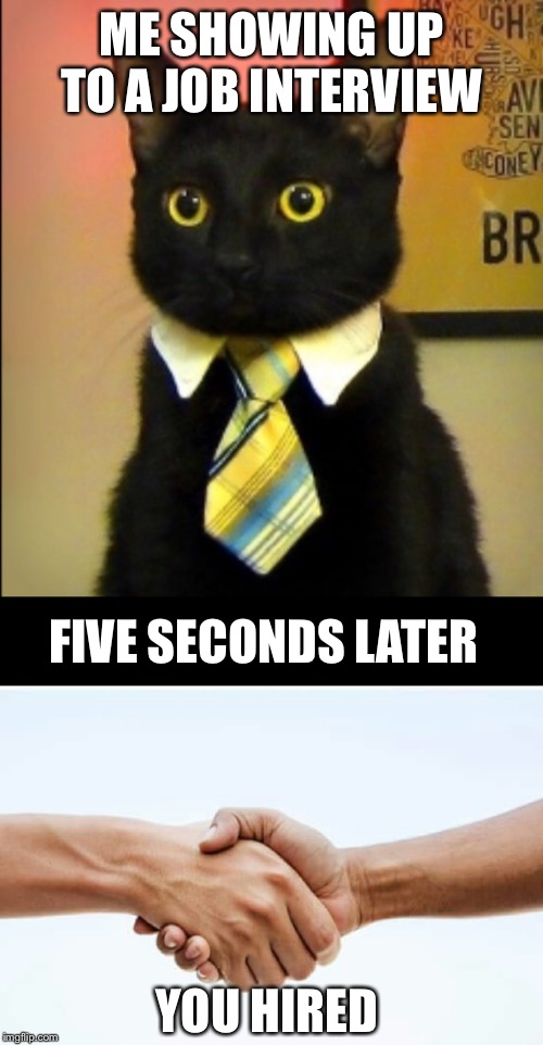 If only it was this easy | ME SHOWING UP TO A JOB INTERVIEW; FIVE SECONDS LATER; YOU HIRED | image tagged in hand shake,cat in tie,job interview,i wish,cats | made w/ Imgflip meme maker