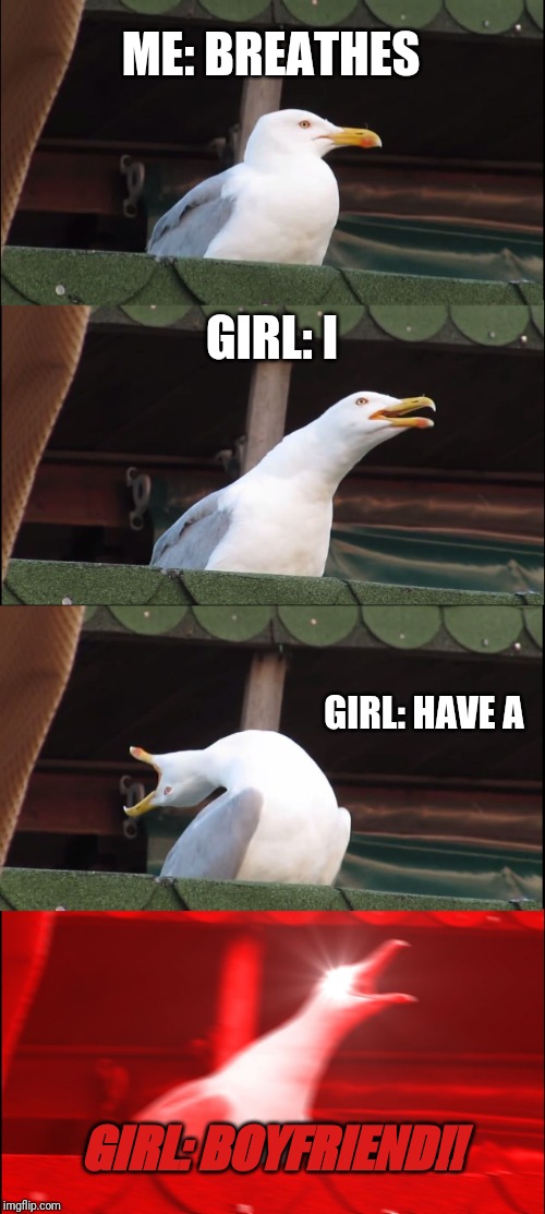 Inhaling Seagull Meme | ME: BREATHES; GIRL: I; GIRL: HAVE A; GIRL: BOYFRIEND!! | image tagged in memes,inhaling seagull | made w/ Imgflip meme maker