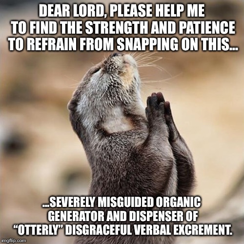 An otter’s prayer for patience | DEAR LORD, PLEASE HELP ME TO FIND THE STRENGTH AND PATIENCE TO REFRAIN FROM SNAPPING ON THIS... ...SEVERELY MISGUIDED ORGANIC GENERATOR AND DISPENSER OF “OTTERLY” DISGRACEFUL VERBAL EXCREMENT. | image tagged in praying otter,memes,liar,patient,talking,snap | made w/ Imgflip meme maker
