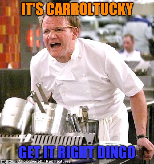 Chef Gordon Ramsay Meme | IT'S CARROLTUCKY; GET IT RIGHT DINGO | image tagged in memes,chef gordon ramsay | made w/ Imgflip meme maker