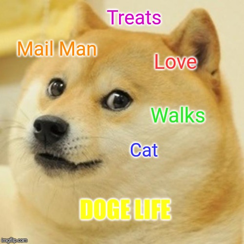 Doge Meme | Treats; Mail Man; Love; Walks; Cat; DOGE LIFE | image tagged in memes,doge | made w/ Imgflip meme maker