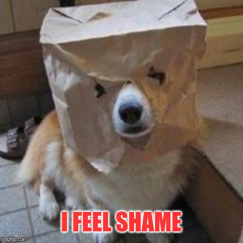 I'm not your dog | I FEEL SHAME | image tagged in i'm not your dog | made w/ Imgflip meme maker