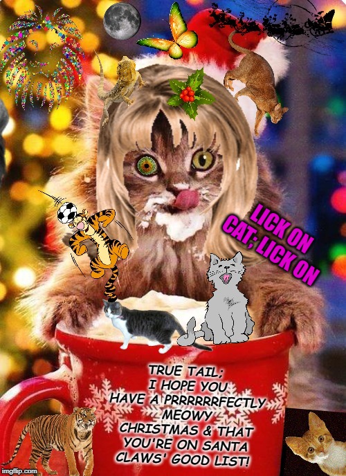 Meowy Christmas! lick on cat, lick on | LICK ON CAT; LICK ON | image tagged in meowy christmas lick on cat lick on | made w/ Imgflip meme maker